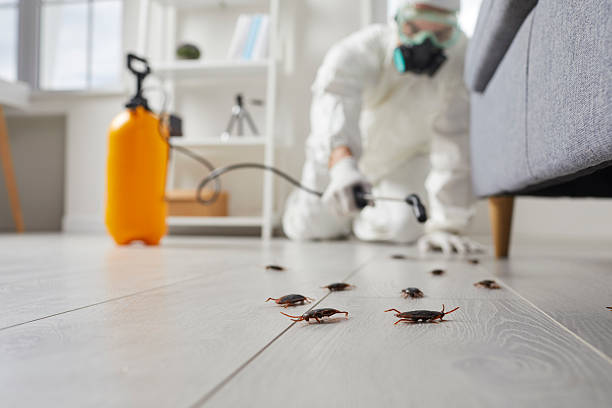 Commercial Kitchen Cockroach Control in East Franklin
